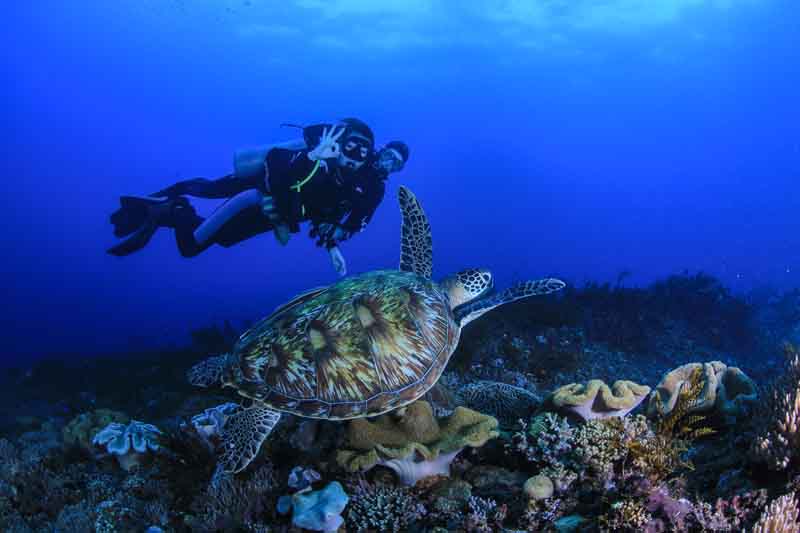introductory-diving-hurghada